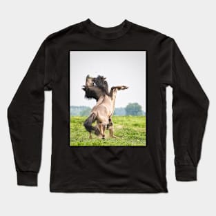 Horses don't usually fight over grass Long Sleeve T-Shirt